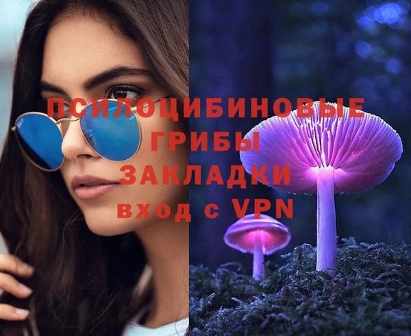винт Алексин