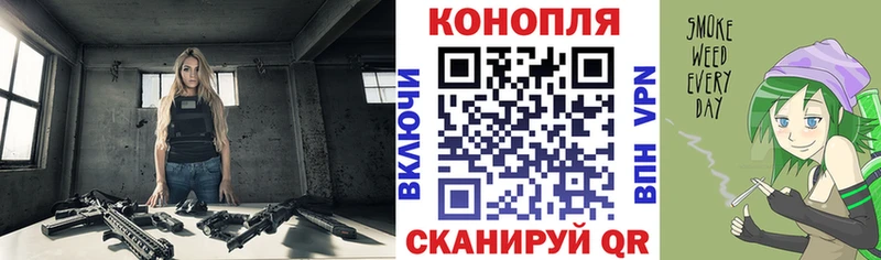 Бошки Шишки план Зверево